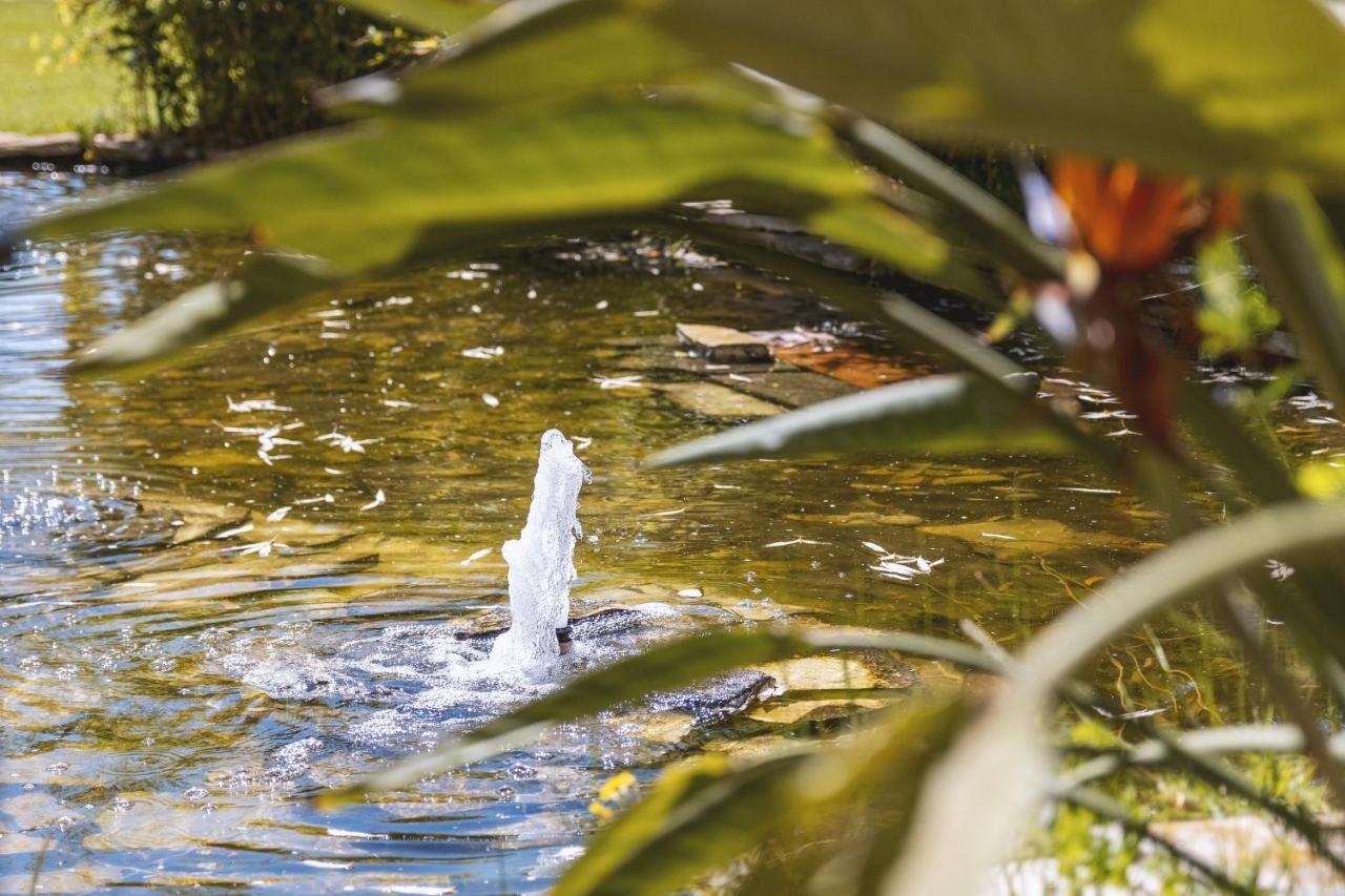 La Sirena Lägenhet Jávea Exteriör bild